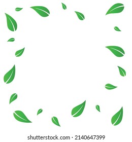 Falling green leaves. Fresh tea neat leaves flying. Spring foliage dancing on blue sky background. Adorable summer overlay template. Trending spring sale vector illustration.