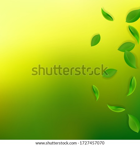 Falling green leaves. Fresh tea neat leaves flying. Spring foliage dancing on yellow green background. Alive summer overlay template. Immaculate spring sale vector illustration.