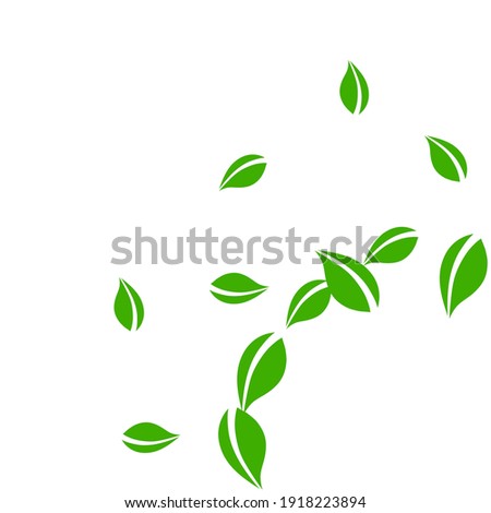 Falling green leaves. Fresh tea neat leaves flying. Spring foliage dancing on white background. Actual summer overlay template. Energetic spring sale vector illustration.