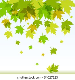 Falling green leaves of the tree. Vector format 10 eps