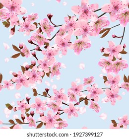 Falling Japanese cherry petals, floral pattern.  Blossoming branches of cherry on blue in a random arrangement square format. Pink Sakura texture, EPS 10, vector