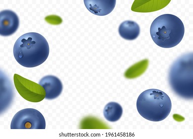Falling juicy ripe blueberry with green leaves isolated on transparent background. Flying defocusing blueberry berries. Fresh bilberry. Design element for sweets, jam advertising. Vector illustration.