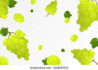 Falling juicy ripe grape with green leaves isolated on transparent background. Flying bunches of grapes with defocused blur effect. Can be used for wallpaper, banner, poster, print. Vector flat design