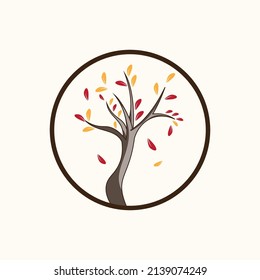 falling leaf tree  in autumn season