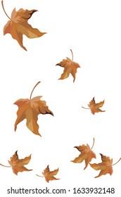 Falling leafs, Autumn leaf, Red leaf.