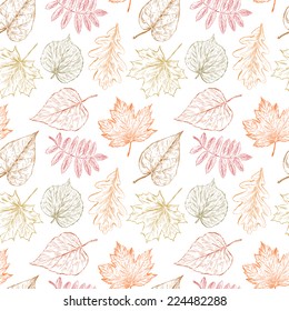 falling leaves