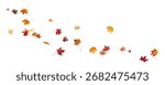 Falling leaves, autumn foliage on transparent background, beautiful background of orange and gold leaves. Vector maple leaf, png, flying foliage from tree.