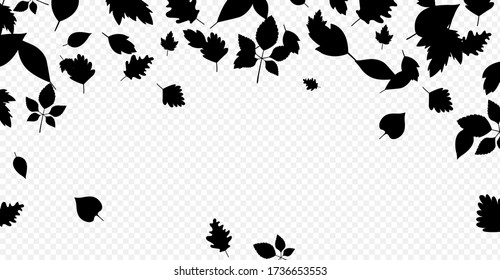 Falling leaves black silhouettes border on white. Vector decorative background template. Autumn fall season design element.