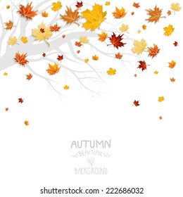 Swirl Leaves Stock Vector (Royalty Free) 111221309