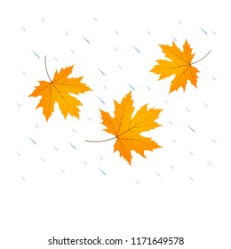 Falling leaves fall in the rain