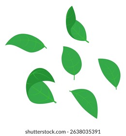 Falling Leaves Illustration, Vector Graphics