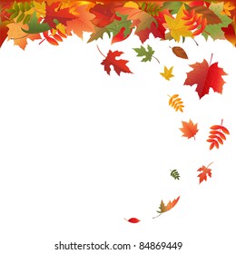 Falling Leaves, Isolated On White Background, Vector Illustration