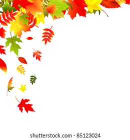 Falling Leaves, Isolated On White Background, Vector Illustration