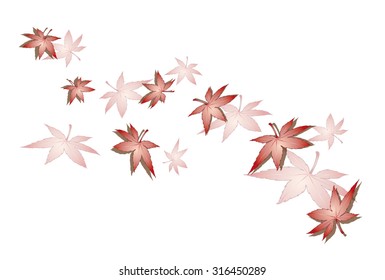 The falling of leaves of Japanese maple, and is the variation of white background.(The postcard is a layout of the horizontal)