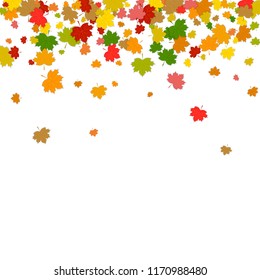 Сolorful falling Leaves. Maple leaves isolated on white background. Vector illustration.