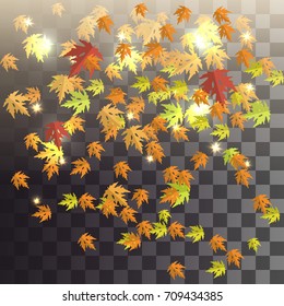 falling leaves on a transparent background