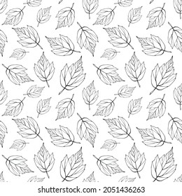 Falling leaves seamless pattern. Monochrome foliage boundless background. Black and white botanic endless texture. Leaves repeating surface design. Herbal backdrop.