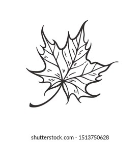 Falling leaves vector illustration. Decorative graphic black outline autumn leaves collecton isolated on white background. Hand drawn organic lines