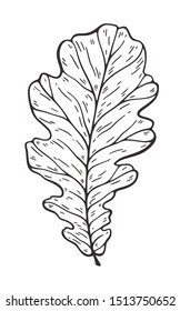 Falling leaves vector illustration. Decorative graphic black outline autumn leaves collecton isolated on white background. Hand drawn organic lines