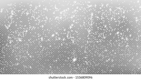 Falling little snow isolated on transparent background. Snow background. Vector illustration.