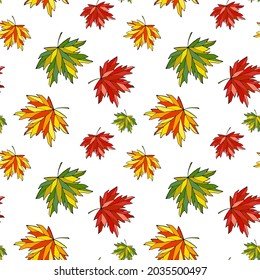Falling maple leaves seamless pattern. Colored acer foliage boundless background. Bright fall endless texture. Red, yellow, orange, green autumn leaves repeating surface design. Cute colorful backdrop