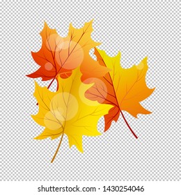 Falling maple leaves with transparency grid on back. Vector Illustration.