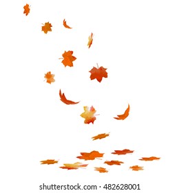 Falling maple leaves. Vector