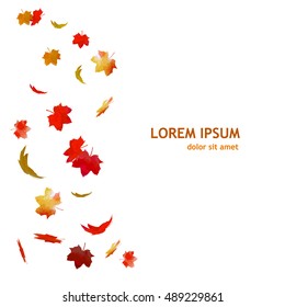 Falling maple leaves. Vector