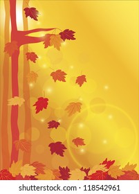 Falling Maple Tree Leaves with Sun Beams and Bokeh in Forest Background Vector Illustration