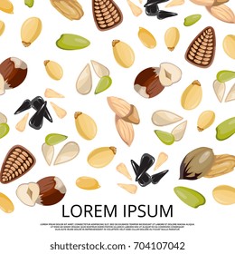Falling nuts and seeds on white background design. Vector illustration