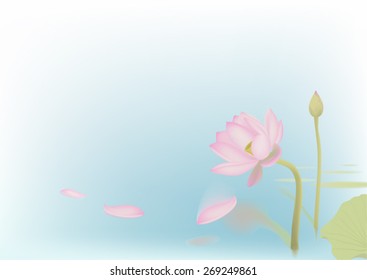Falling off petals of lotus