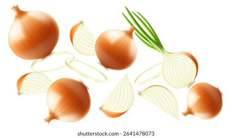 Falling onion, isolated on transparent background, selective focus. Flying onion with blurry effect. Can be used for advertising, packaging, banner, poster. Realistic 3d vector illustration