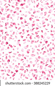 A lot of falling petals on white background. 