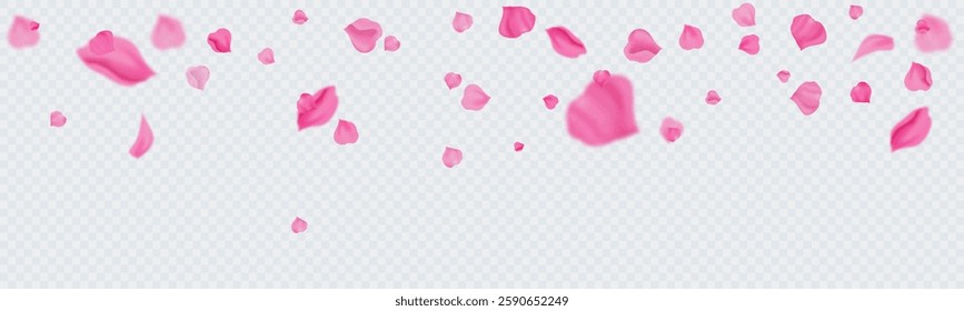 Falling petals of roses, sakura. Colorful petals swirl in a chaotic flow. Vector illustration.