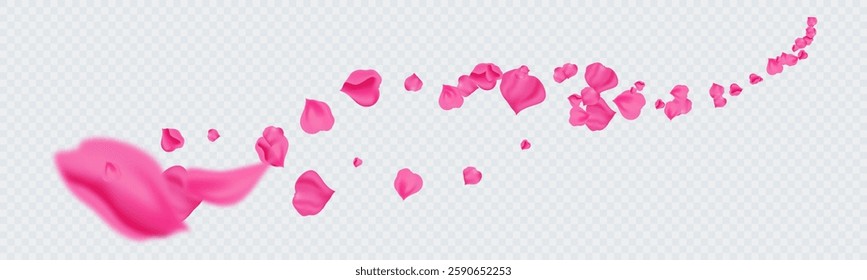 Falling petals of roses, sakura. Colorful petals swirl in a chaotic flow. Vector illustration.