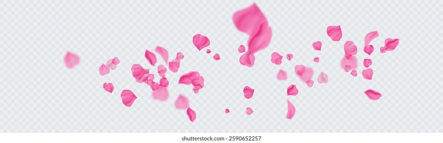 Falling petals of roses, sakura. Colorful petals swirl in a chaotic flow. Vector illustration.
