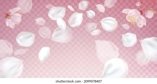 Falling petals, spring flowers and blurred elements on transparent pink background. 