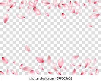 Falling Pink Flower Petal Confetti Vector. Floral isolated pattern on transparent background. Flying spring blossom petals, flower petals border, cherry bloom petals. Card design, border, text place.