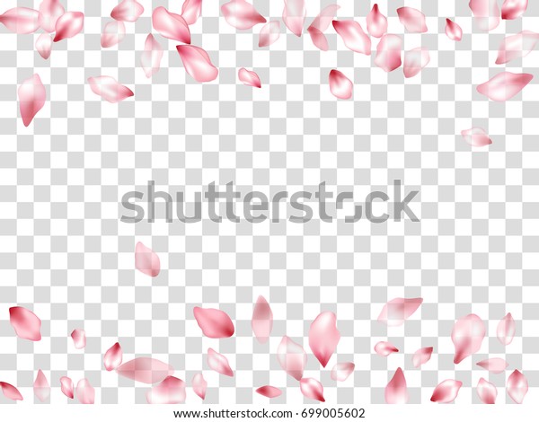 ピンクの花びら紙吹雪のベクター画像 透明な背景に花柄 飛び散る春の花びら 花びら 桜の花びら カードのデザイン 枠 テキストの配置 のベクター画像素材 ロイヤリティフリー