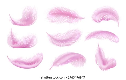 Fijación de plumas torcidas, aisladas plumas de oca de estilo realista, ilustración vectorial 3d.