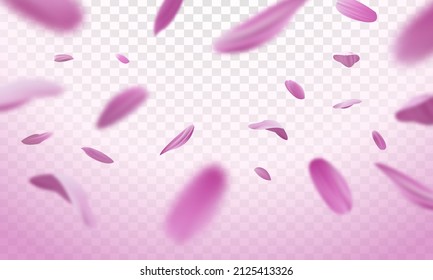 Falling pink petals on a transparent background. Vector illustration