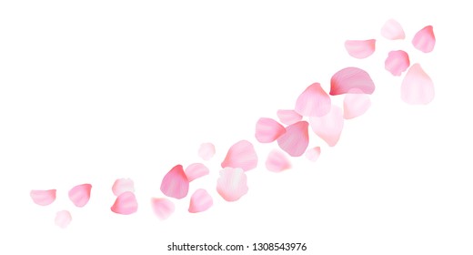 Falling pink petals. Romantic sakura background. Vector illustration