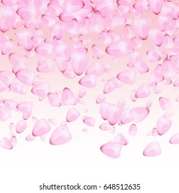 Falling pink petals of sakura on a white background. 
