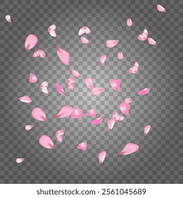 Falling pink rose petals. Pink petals on transparent background Vector illustration