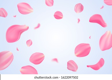 Falling pink tulip petals isolated on light blue background. Vector illustration with beauty tulip petals. Applicable for design of greeting cards on March 8, wedding and St. Valentine's Day. Eps 10