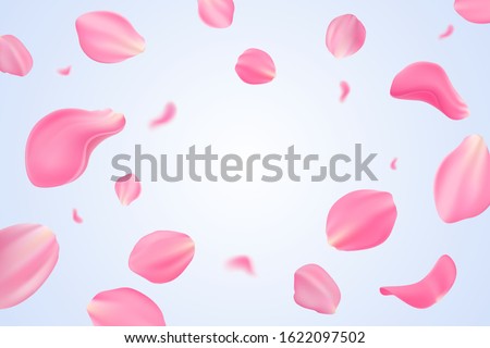 Falling pink tulip petals isolated on light blue background. Vector illustration with beauty tulip petals. Applicable for design of greeting cards on March 8, wedding and St. Valentine's Day. Eps 10