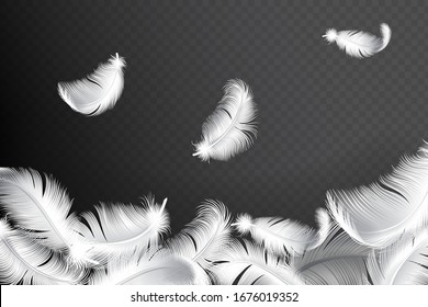 Falling realistic feathers isolated on a dark background. Flying fluffy birds or angel wings feather silhouette vector.
