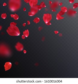 Falling realistic red rose petals isolated on dark backdrop. Vector illustration with beauty roses petal, applicable for design of greeting cards on March 8 and Valentine Day. Decoration element. EPS