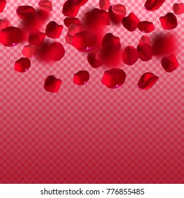 Falling realistic rose petals. Vector illustration.