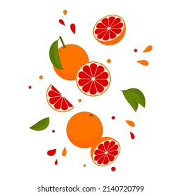 falling red grapefruits, vector illustration. fruit levitation. flying citrus fruits on a white background.